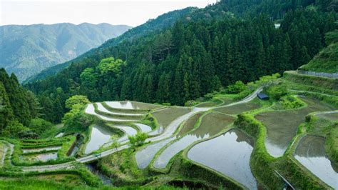 山挨|徳島で発見した日本の原風景 秘境を訪れるなら今がチャンス！